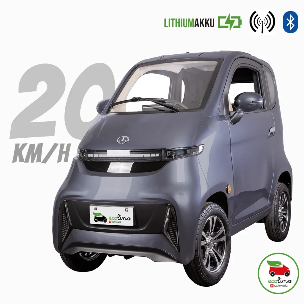 ECOLINO Senioren Elektromobil 20 km/h Lithiumakku ohne Führerschein mit Schild