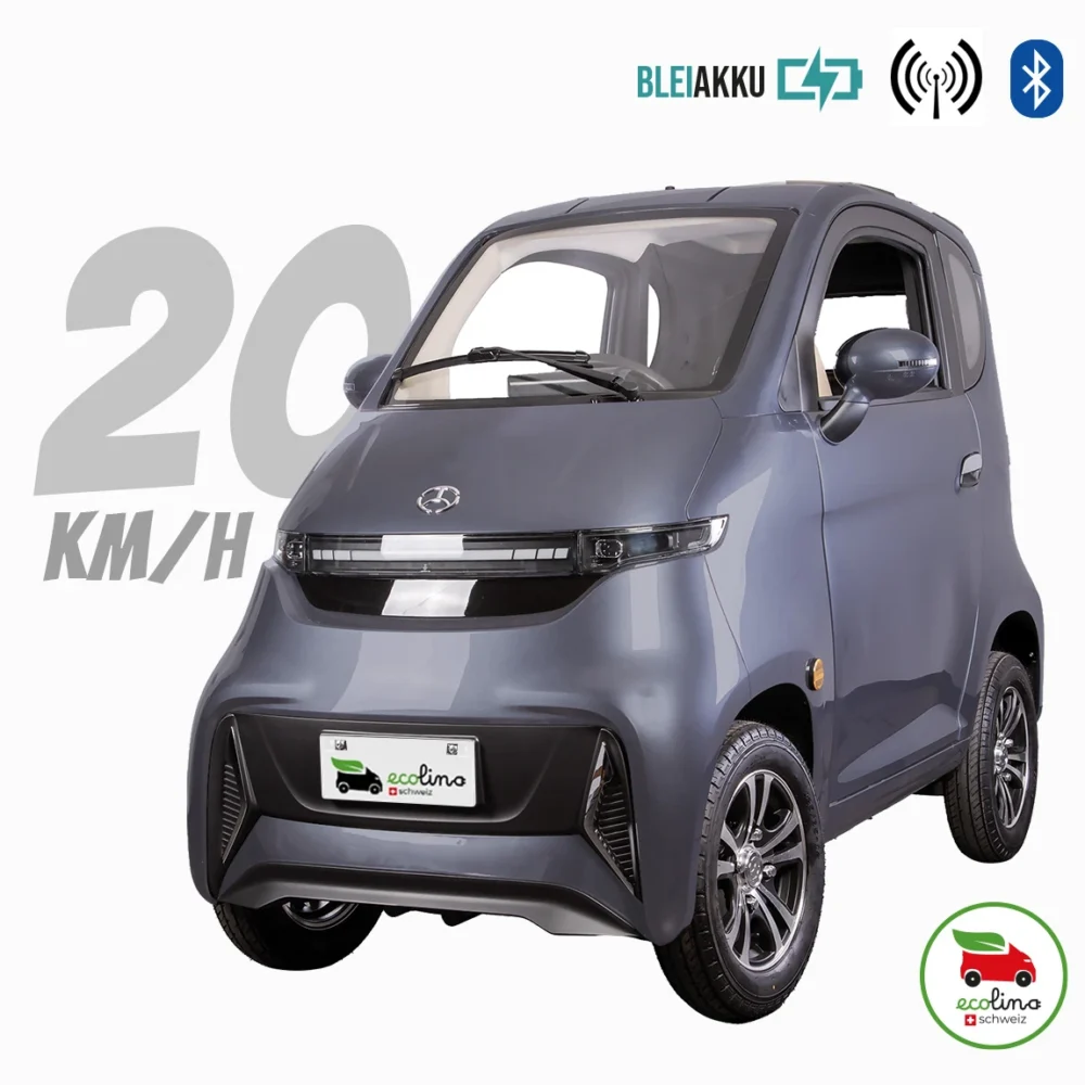 iTANGO Senioren Elektromobil 20 km/h Bleiakku ohne Führerschein mit Schild